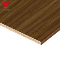 laminated plywood/Melamine paper faced plywood 18mm for furniture